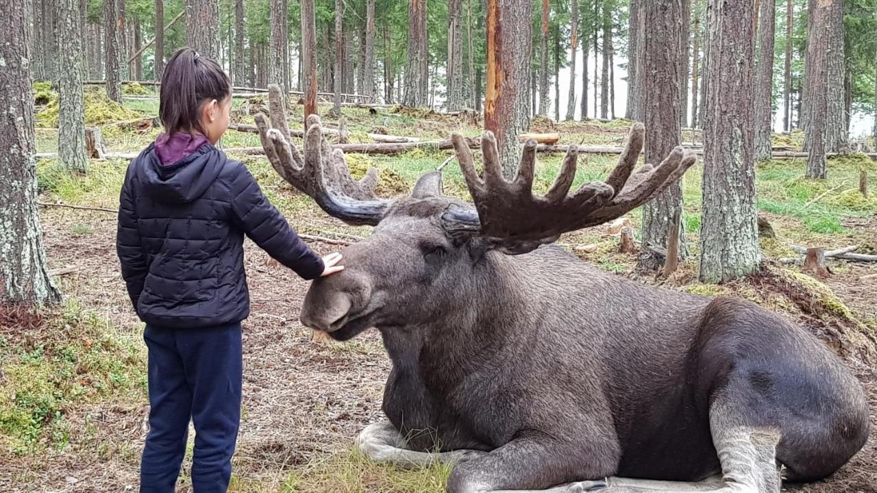 Готель The Friendly Moose Overtornea Екстер'єр фото
